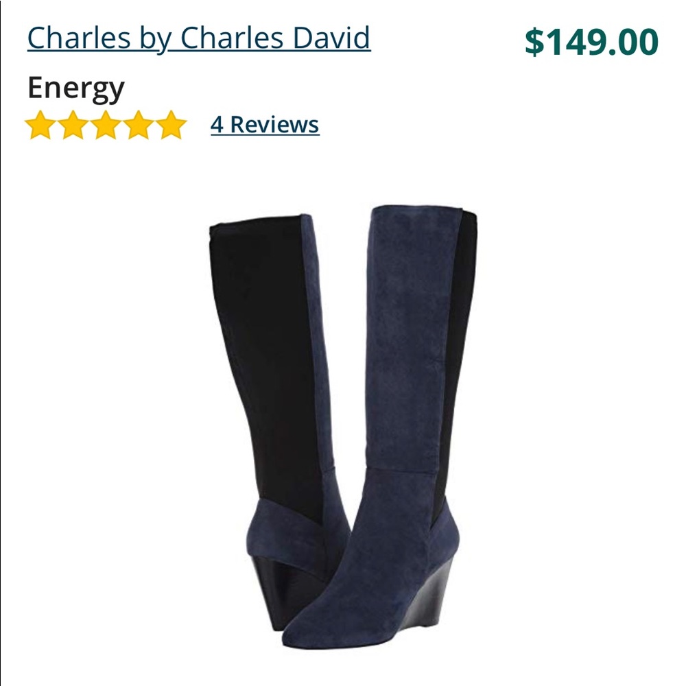 Boots by Charles David. Never worn doesn’t fit.